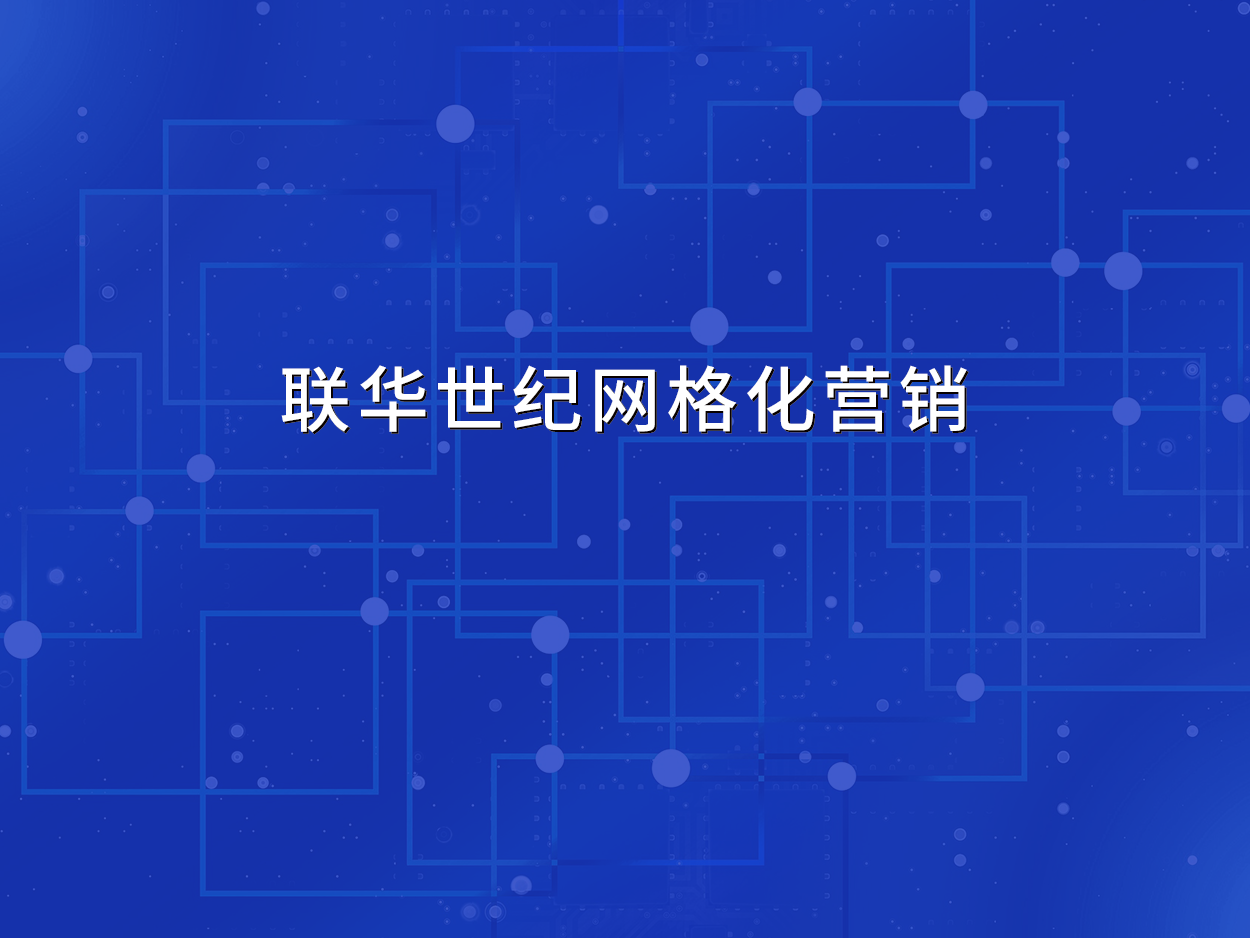 联华世纪网格化营销